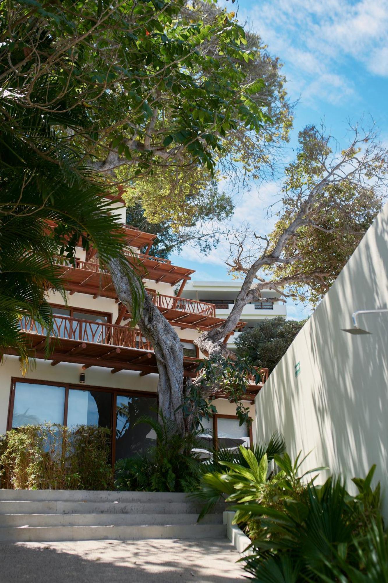 Ysuri Sayulita - Beachfront Hotel 외부 사진